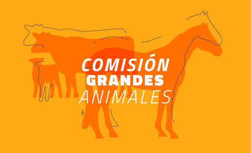 Se conformó la subcomisión de equinos del CVPBA