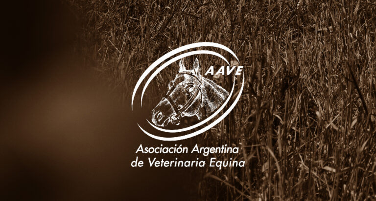 Se otorgó el Premio FEAR a la AAVE