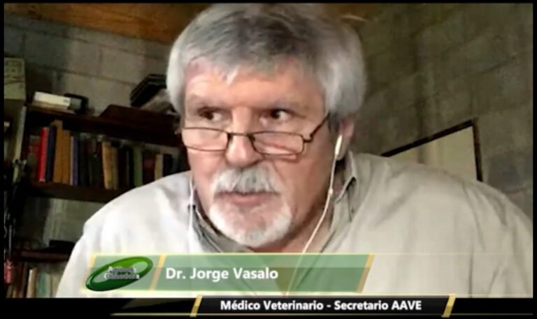 Entrevista al M.V. Jorge Vasalo sobre anemia infecciosa equina
