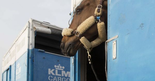 Acuerdo para fortalecer el trabajo con las compañías aéreas y de cargas en Ezeiza