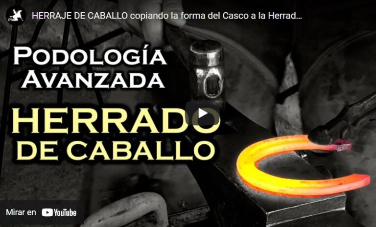 Mejorar la producción y el manejo de los equinos