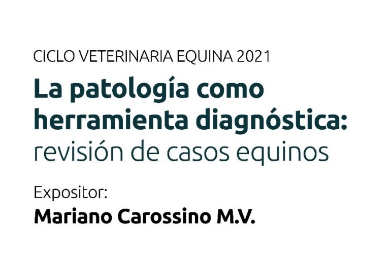 Ciclo Veterinaria Equina 2021