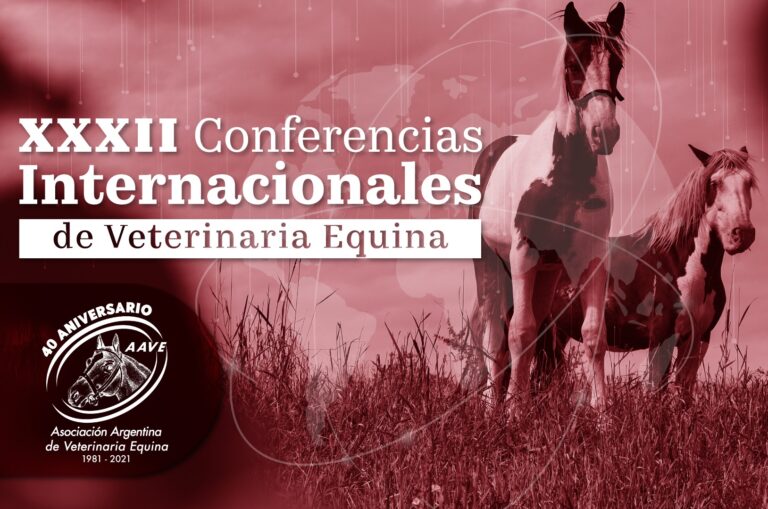 Descargá tu certificado