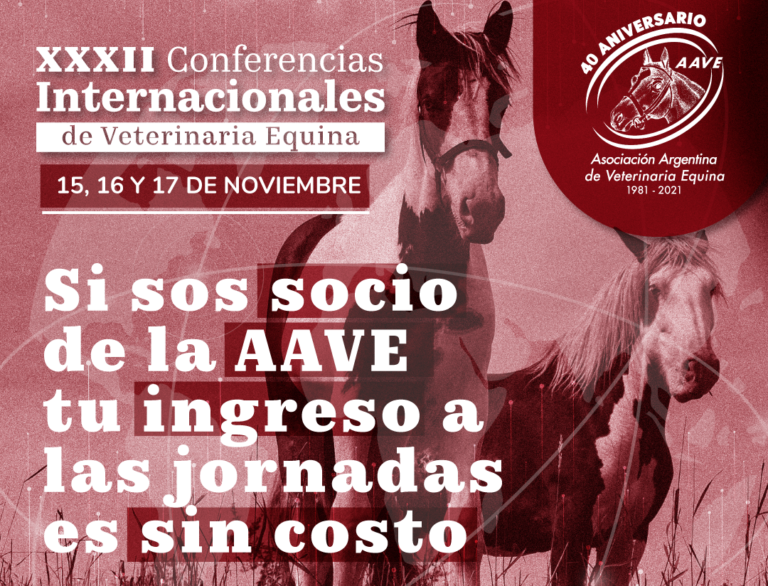 Valores y formas de pago